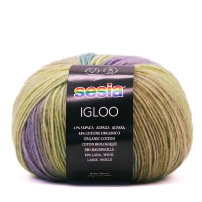 IGLOO SESIA