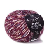 PAISIBLE Plassard
